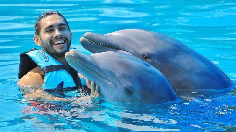Cozumel: Dolphin Royal Swim and Manatee Interaction - Good To Know