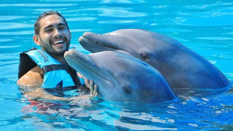 Cozumel: Dolphin Royal Swim and Manatee Interaction - FAQ