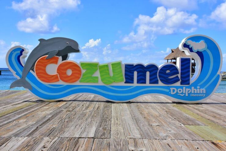 Cozumel: Dolphin Royal Swim - Booking Details