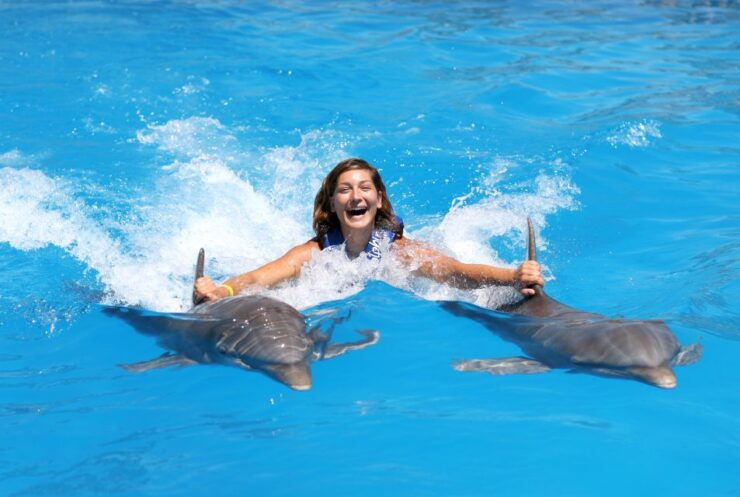 Cozumel: Dolphin Royal Swim - Experience Highlights