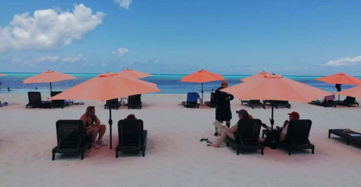 Cozumel Eco Nature Escape - Punta Sur Ecological Park Highlights