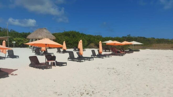 Cozumel Eco Nature Escape - Nurturing Local Economy and Environment