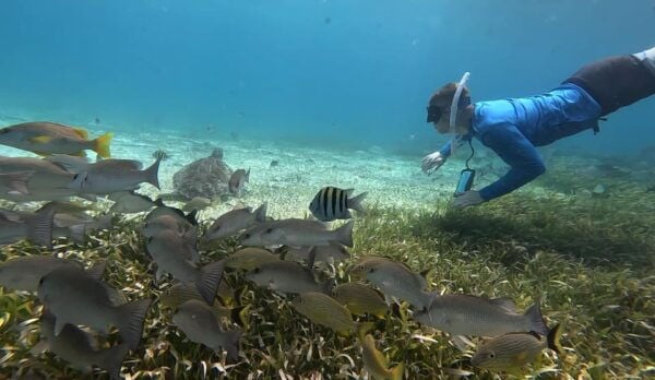 Cozumel, El Cielo: 4-Hour Private Tour - About the Tour Provider