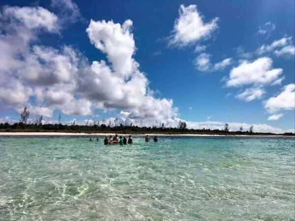 Cozumel, El Cielo: 4-Hour Shared Snorkeling Tour - Restrictions and Alcohol Policy
