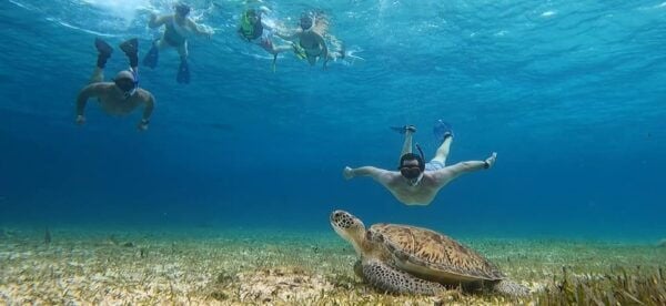 Cozumel, El Cielo: 4-Hour Shared Snorkeling Tour - Customer Feedback