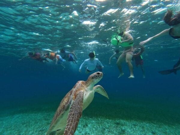 Cozumel, El Cielo: 4-Hour Shared Snorkeling Tour - Booking and Cancellation Details