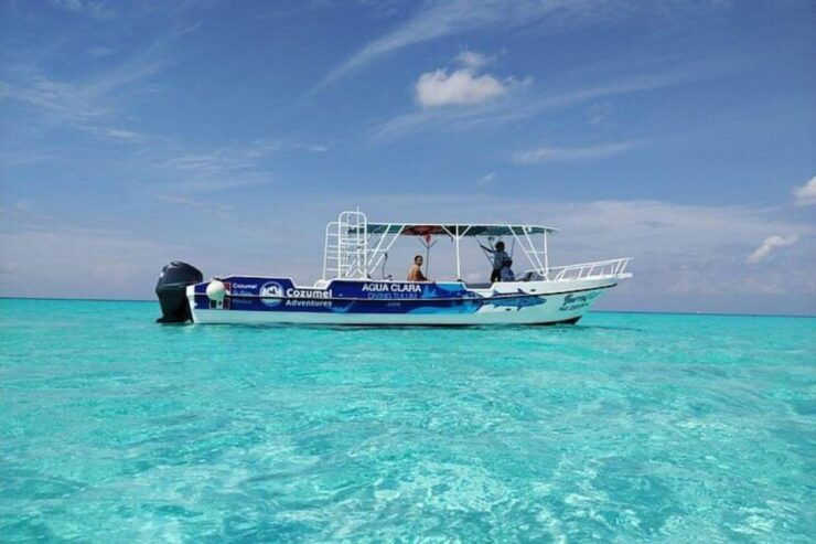 Cozumel El Cielo Sandbar and Reef Snorkeling Tour - Experience Highlights