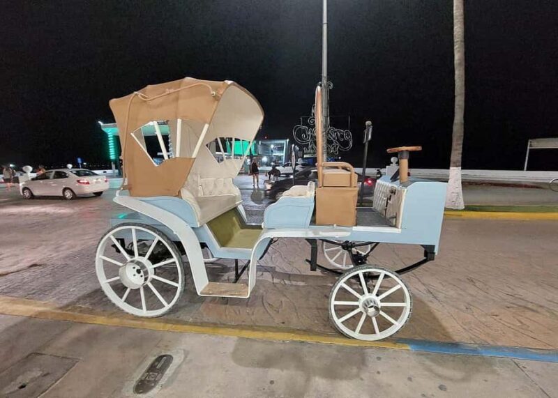 Cozumel: Electric Carriage Tour - Good To Know