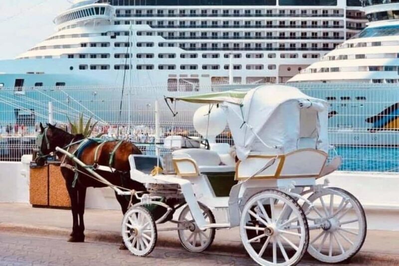 Cozumel: Electric Carriage Tour - Why You’ll Enjoy the Cozumel Electric Carriage Tour