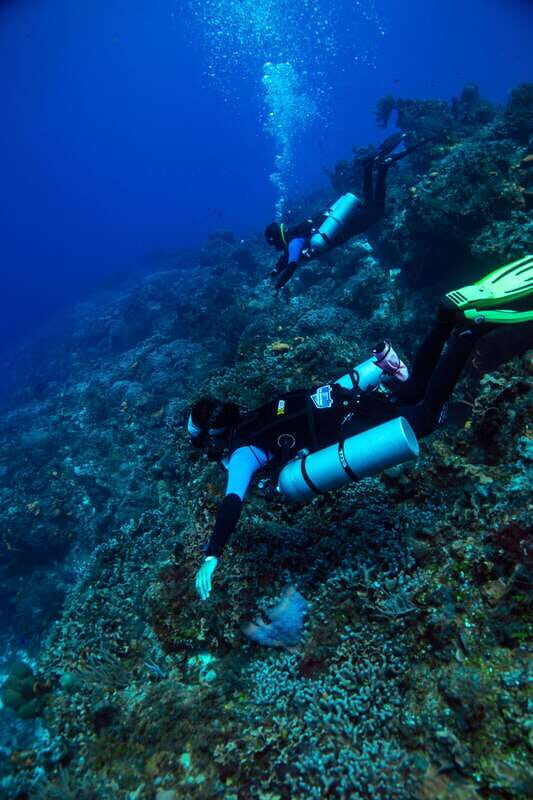 Cozumel: Fun Dive Adventure for Certificates - FAQ