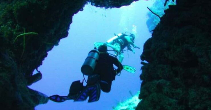 Cozumel: Fun Diving for Certified Divers by Boat - Good To Know