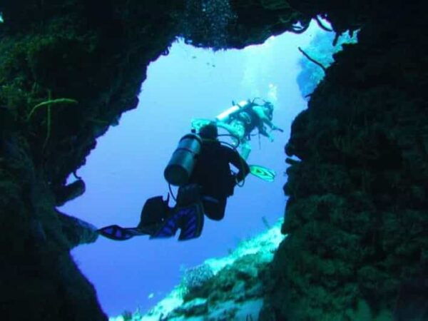 Cozumel: Fun Diving for Certified Divers by Boat - Experienced Instructors