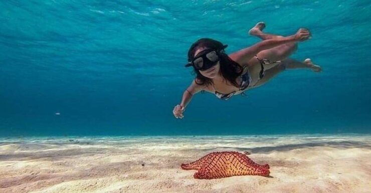Cozumel: Glass-bottom Boat Snorkeling Adventure - Activity Details