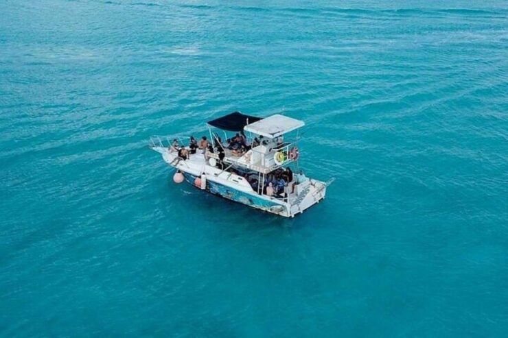 Cozumel: Glass-bottom Boat Snorkeling Adventure - Experience Highlights