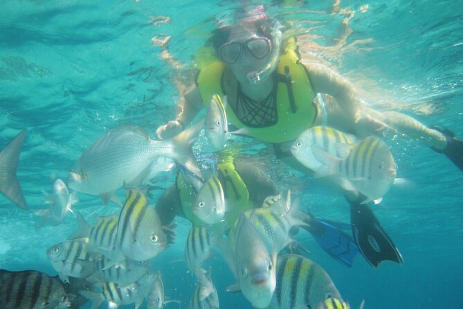 Cozumel Guided Shore Snorkeling Tour With Lunch - Pricing and Booking Details