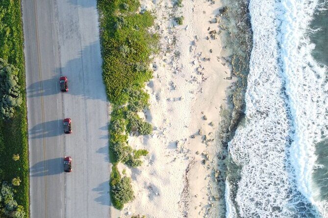 Cozumel Jeep or Buggy Island Tour Plus Mayan Ruins or Punta Sur - The Optional Cultural or Natural Highlights  