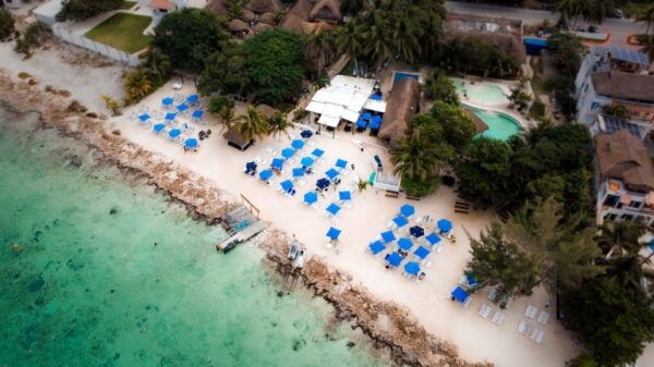 Cozumel: Jeep Renegade Xprnc With Open Bar & Tacos - Included and Additional Costs