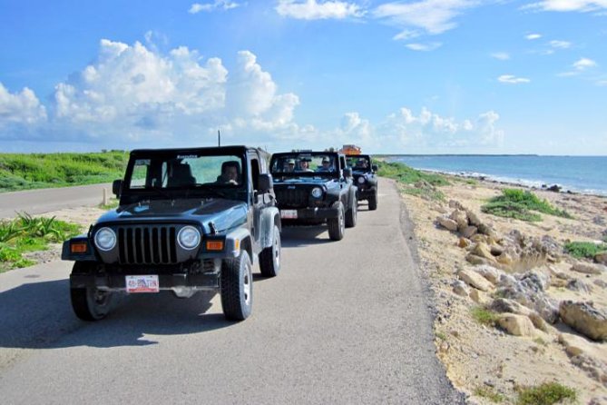 Cozumel Jeep Tour From Cancun and Riviera Maya - Traveler Photos