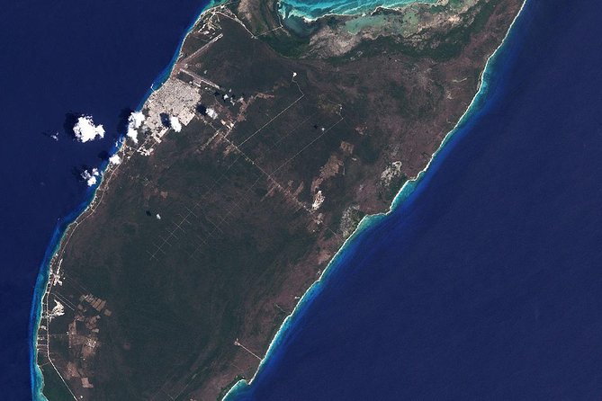 Cozumel Jeep Tour From Cancun and Riviera Maya - Vehicle and Safety Concerns