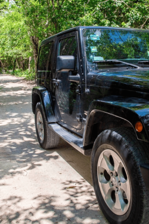Cozumel: Jeep Tour of San Gervasio Ruins - Good To Know