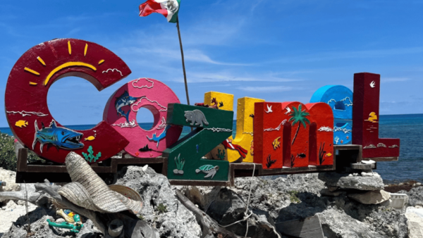 Cozumel: Jeep Tour of San Gervasio Ruins - Customer Feedback