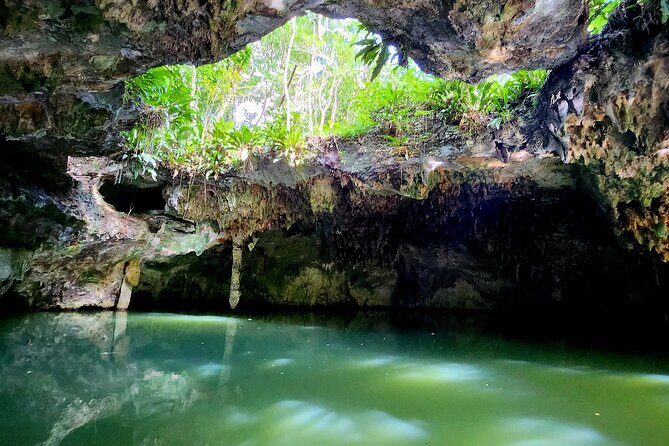 Cozumel Jungle ATV Tour Adventure and Caverns with transfer - The Experience: What You Can Expect