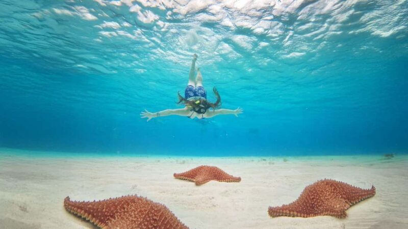 Cozumel, KUZÁ Beach & Adventure Park Deluxe Pass & El Cielo - The Sum Up