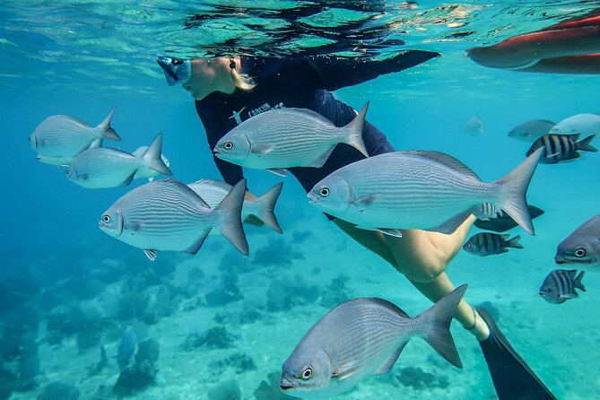 Cozumel Luxury Sailing & Snorkeling With Lunch and Open Bar Onboard - Traveler Photos and Reviews