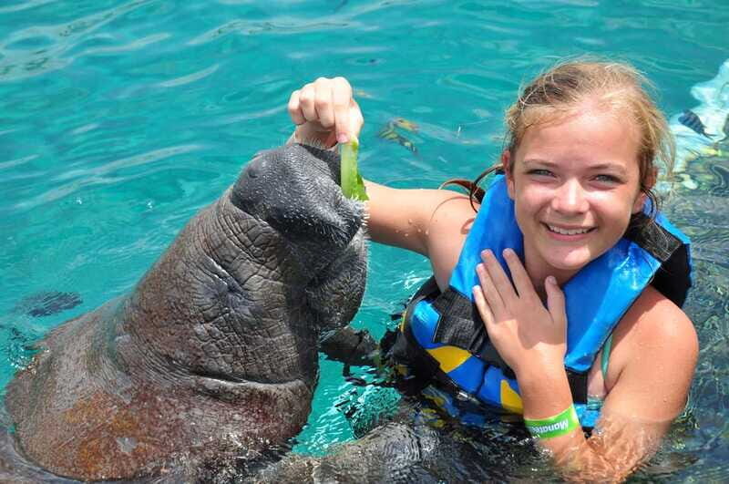 Cozumel: Manatee Encounter, Chankanaab Admission and Buffet - The Experience from Real Travelers