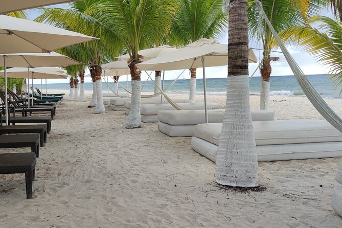 Cozumel Mayan Ruins and Beach: Private Tour - Meeting and Pickup