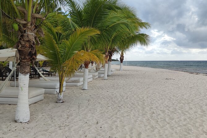 Cozumel Mayan Ruins and Beach: Private Tour - Pickup Details and Cancellation Policy