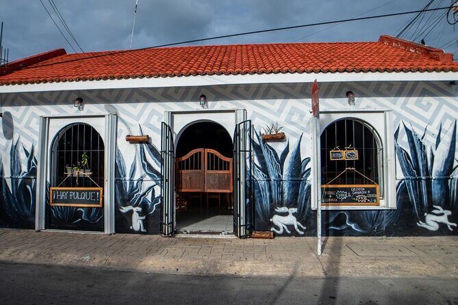 Cozumel Mezcal Masterclass and Gourmet Experience - Who Should Consider This Tour?