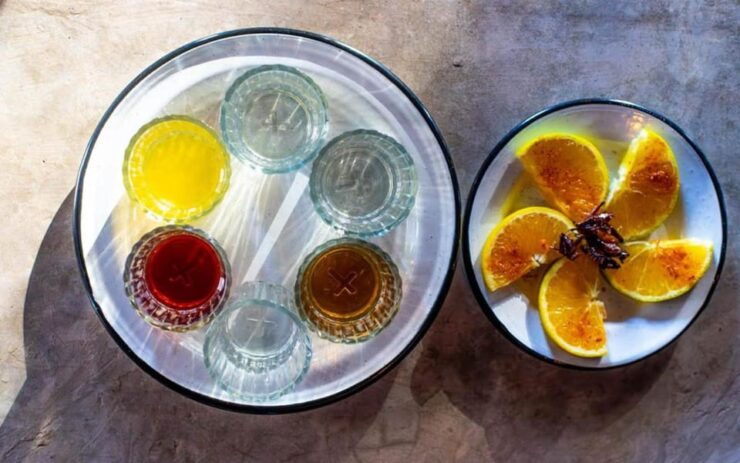 Cozumel: Mezcal Masterclass and Gourmet Tour - Good To Know