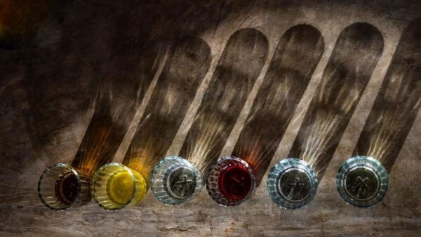Cozumel: Mezcal Masterclass and Gourmet Tour - Inclusions and Exclusions