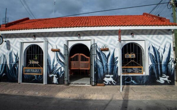Cozumel: Mezcal Masterclass and Gourmet Tour - Booking and Pricing