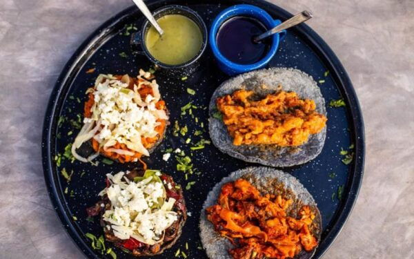 Cozumel: Mezcal Masterclass and Gourmet Tour - Important Restrictions