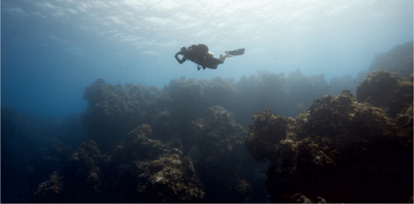 Cozumel: Ocean Dive - Availability and Schedules