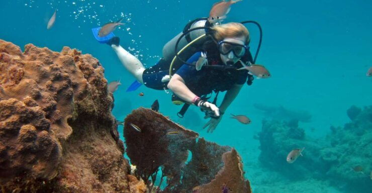 Cozumel: One Tank Scuba Dive and Full Chankanaab Park Access - Diving Experience