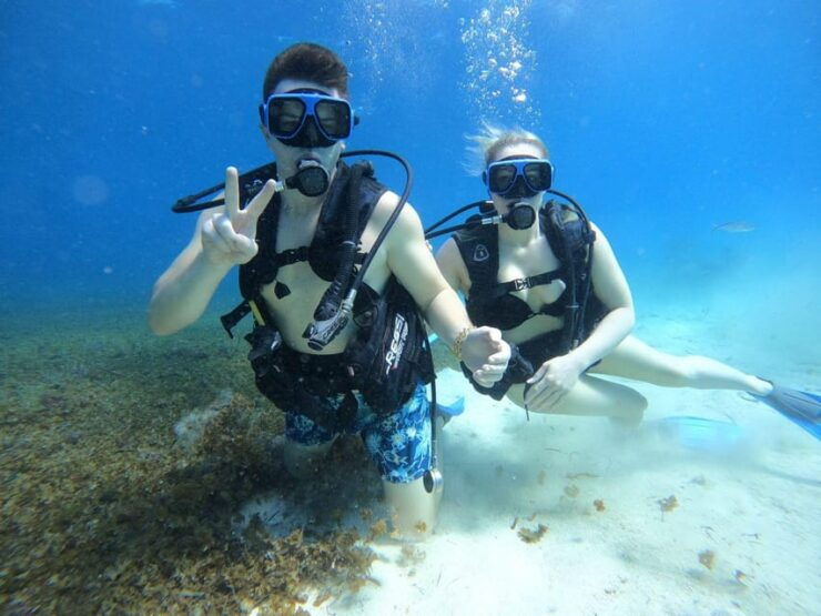 Cozumel: One Tank Scuba Dive at Chankanaab - Good To Know
