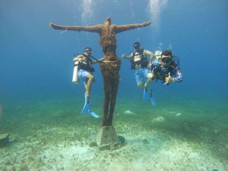 Cozumel: One Tank Scuba Dive at Chankanaab - Experience Details