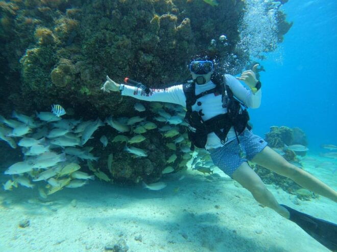 Cozumel: One Tank Scuba Dive at Chankanaab - Important Information
