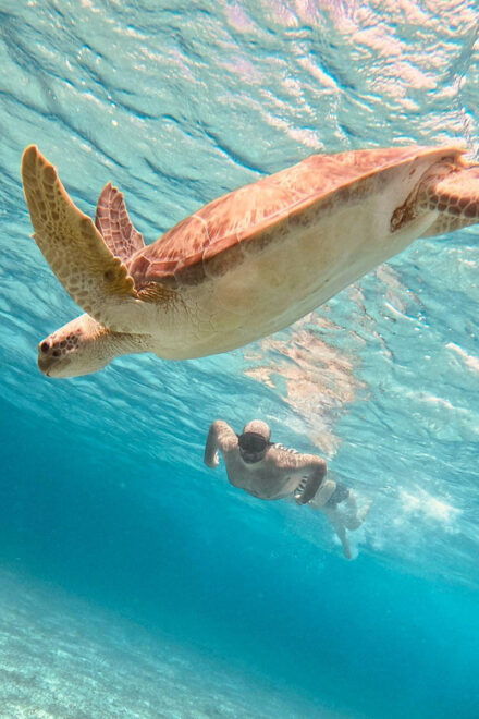 Cozumel: Palancar, Cielo, and Cielito Snorkeling PRIVATE - Customer Experience