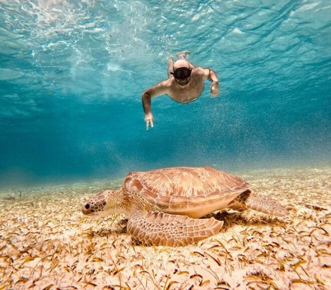 Cozumel: Palancar, Cielo, and Cielito Snorkeling PRIVATE - Booking and Meeting Information