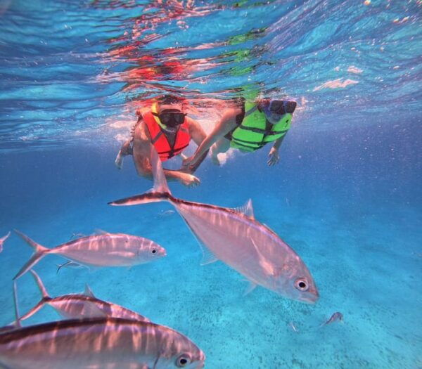Cozumel: Palancar, Cielo, and Cielito Snorkeling PRIVATE - Relaxation and Stingrays
