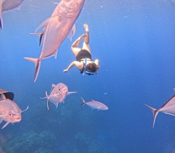 Cozumel: Palancar, Cielo, and Cielito Snorkeling PRIVATE - Frequently Asked Questions