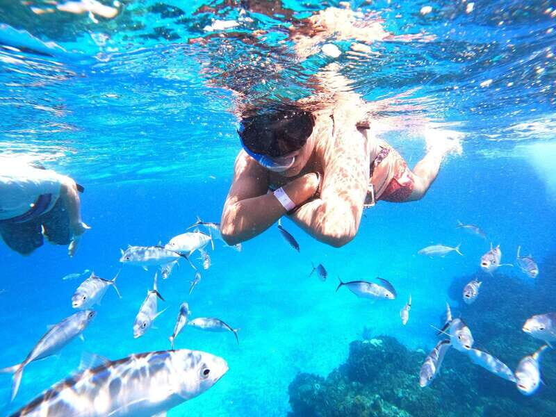 Cozumel: Palancar, Columbia and Cielo Reefs Snorkeling Tour - Authentic Insights from Other Travelers