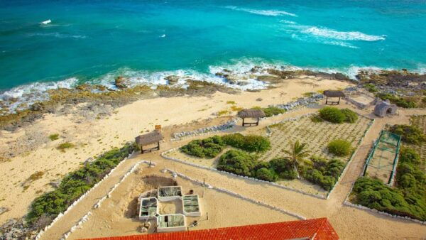 Cozumel Parks: Chankanaab, Punta Sur, San Gervasio+Transport - Customer Feedback