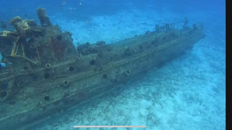 Cozumel, Passion Island: 4-Hour Private Tour - Itinerary Highlights