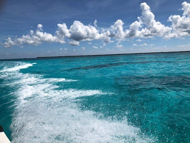 Cozumel, Passion Island: 4-Hour Private Tour - Inclusions