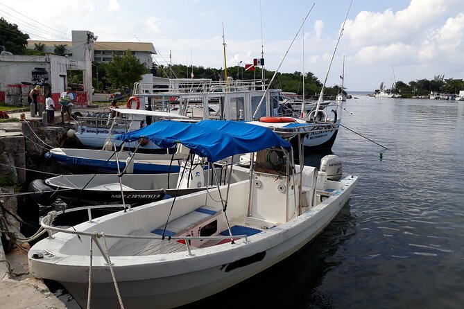 Cozumel Private 4-Hour Boat Tour to Passion Island - Questions and Support